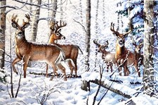 Dimensions The Gold Collection