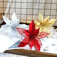 Fiore Giardini di Natale Casa