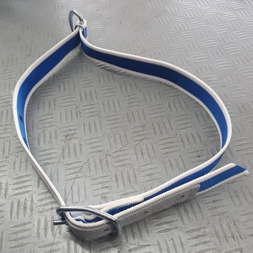 Collare bovini nylon con - collare,