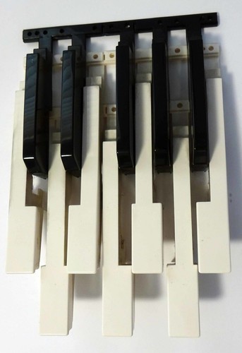 Chiavi ricambio korg pa50 - chiavi,