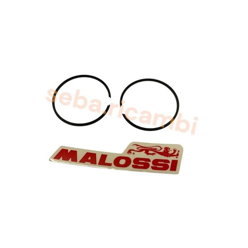 Segmenti 5 malossi - x,