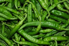 PEPERONE FRIARIELLO, 25 semi +