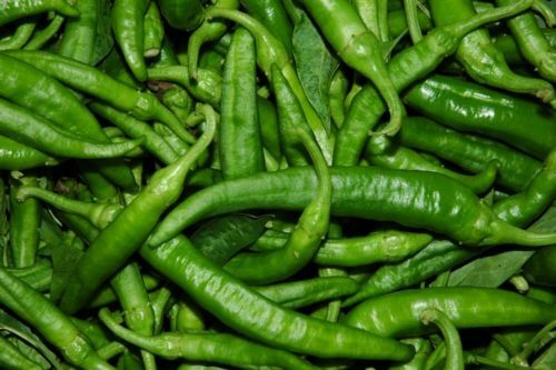 Peperone friariello semi - friariello,,