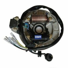 Accensione Lifan 125 cc Tipo5 Magneto Monkey DAX Dirt Bike HMParts