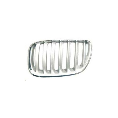 Bm8202034 griglia radiatore - griglia,