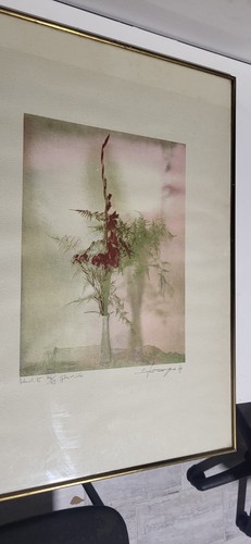 Quadro litografia ettore - ,
