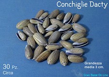 CONCHIGLIE TROPICALI  Mod. DACTY 30 Pz. circa Bomboniere Decorazioni Collane