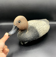 Canard chasse Moriglione Sport