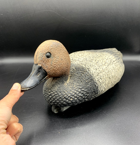 Canard chasse moriglione sport - moriglione,