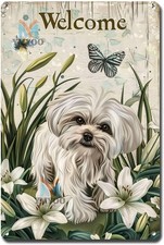 Fluffy Maltese Welcome with