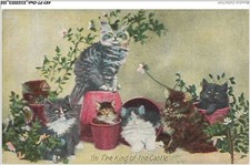 AKYP7-0660-GATTO - SONO IL RE