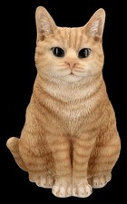 Statua da Giardino Gatto -