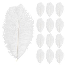 Tibapla 12 Pezzi Piuma di