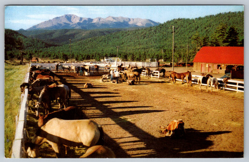 Cartolina scena ranch colorado - ranch,