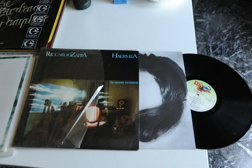 Riccardo zappa haermea - zappa,
