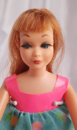 Barbie skipper tnt con - barbie,