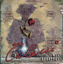 Catalogo della Mostra: -