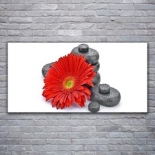 Immagine Arte da Parete Vetro