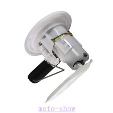 Gruppo modulo pompa carburante