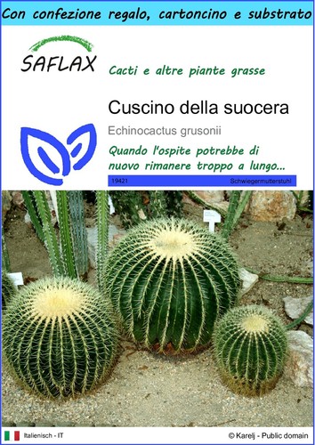 Saflax confezione regalo - regalo,
