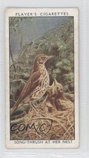 1932 Player's Wild Birds Tabacco Song-Thrush at Her Nest #39 1i3