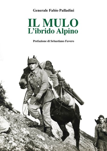 Mulo ibrido alpino - mulo., l'ibrido