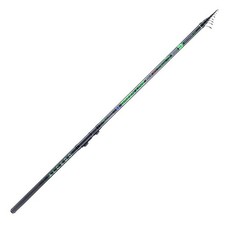 Canna Bolognese Alcedo GREEN