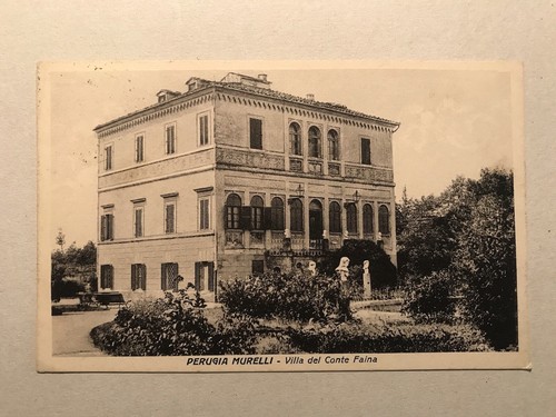 Perugia murelli - -,