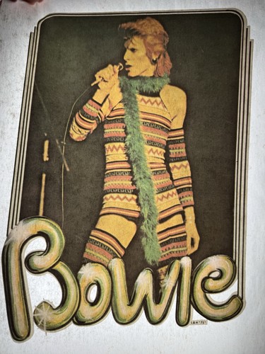 David bowie anni ziggy - david,