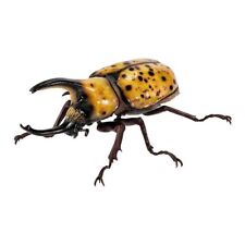 Bandai Gashapon Rhinoceros Beetle 08 Modellino Dynastes hyllus importazione Giappone