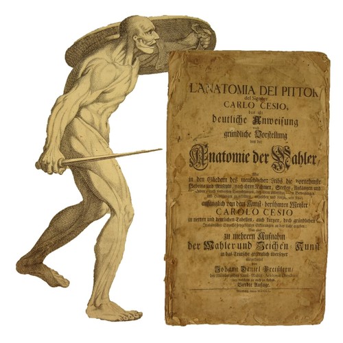 1750 anatomie dei - dei, pittori
