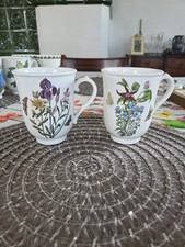 Portmeirion The Botanic Garden