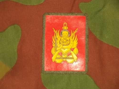 Toppa patch reggimento - toppa,