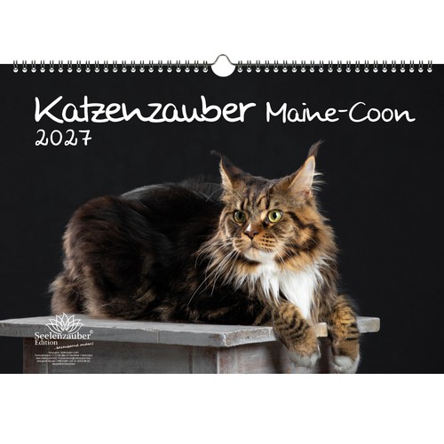 Calendario magico per - magico, gatti
