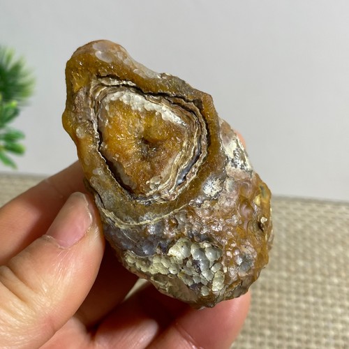 Bonsai suiseki 94g pietra - di,