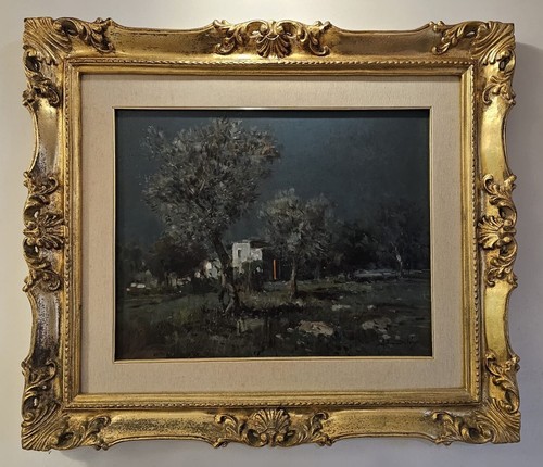 Notte tra gli - , ulivi