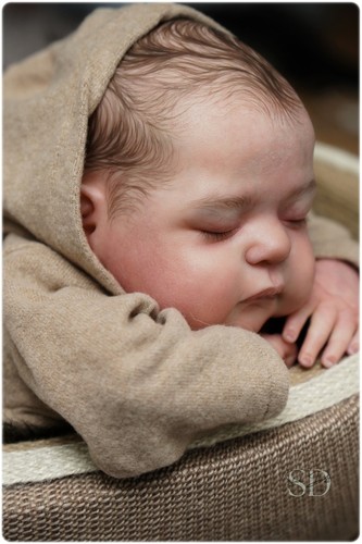 Studio doll boy reborn - reborn, noa