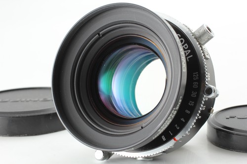 Ecc schneider apo - 4],
