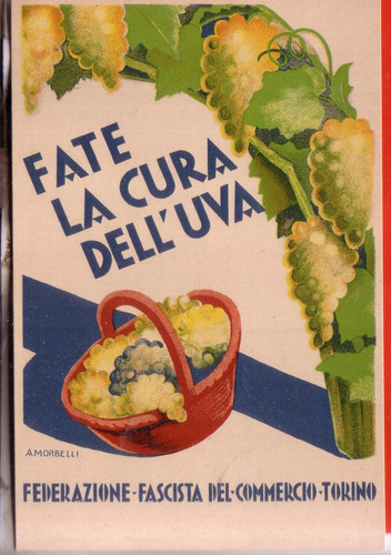 Fate cura dell uva - fate, dell'uva