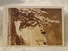 Cartolina Cedola Commissione Paesaggio Innevato Olio di Ricino 1948 AR1548