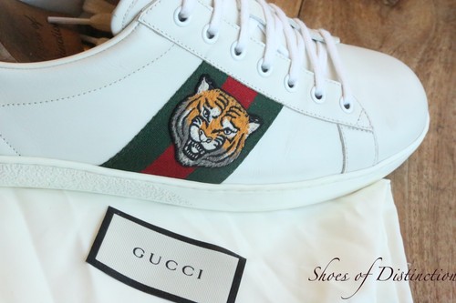 Scarpe ginnastica gucci ace - da,
