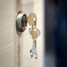  Portachiavi Pattini Rotelle