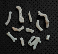 11 Pezzi Bianco Corallo Grezzo