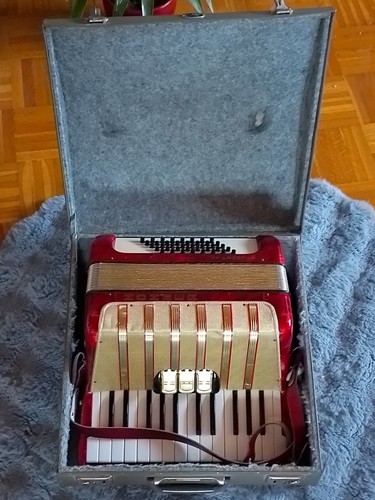 Fisarmonica hohner student - fisarmonica, iv