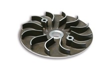 SEMIPULEGGIA MOTRICE FISSA