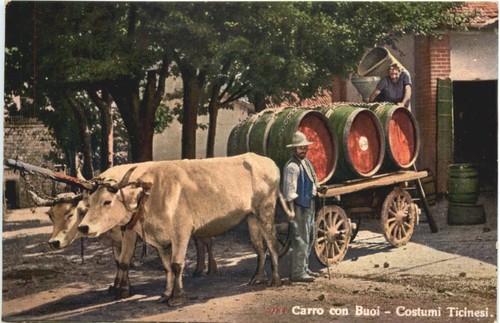 Carro con buoi costumi - con,