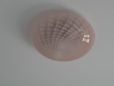 lampadario Da Soffitto Con