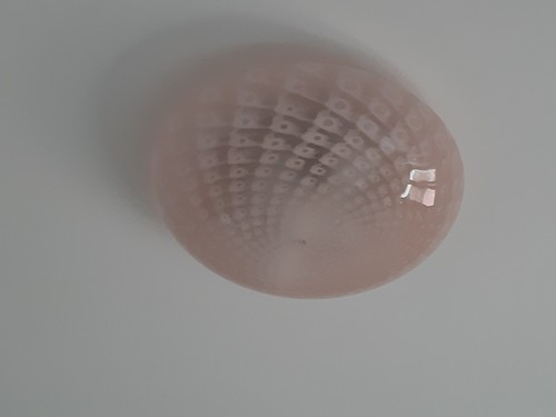 Lampadario soffitto con - lampadario,