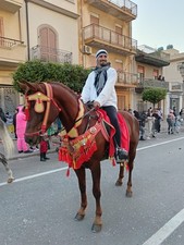 Finimenti Per Cavallo 
