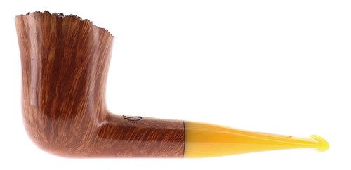Pipa amorelli 3 - ***,